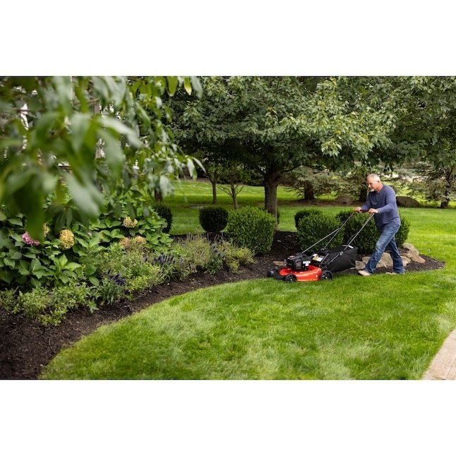 CRAFTSMAN M110 140-cc 21-in Push Gas Lawn Mower